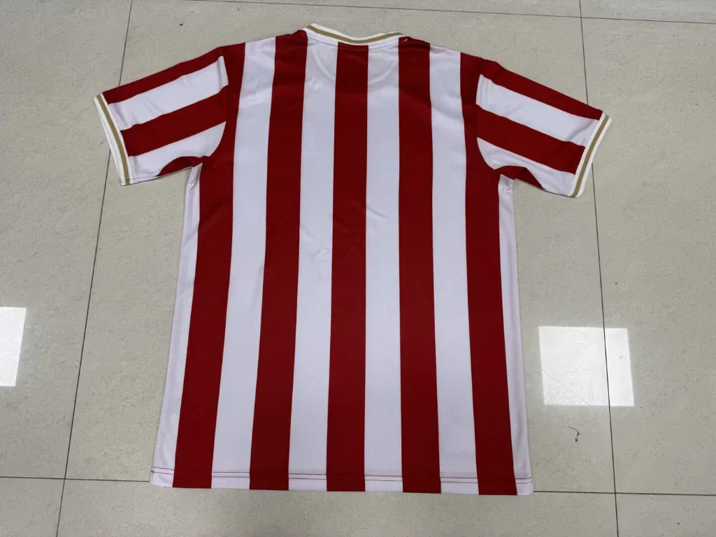 Nürnberg 25/26 Special Jersey