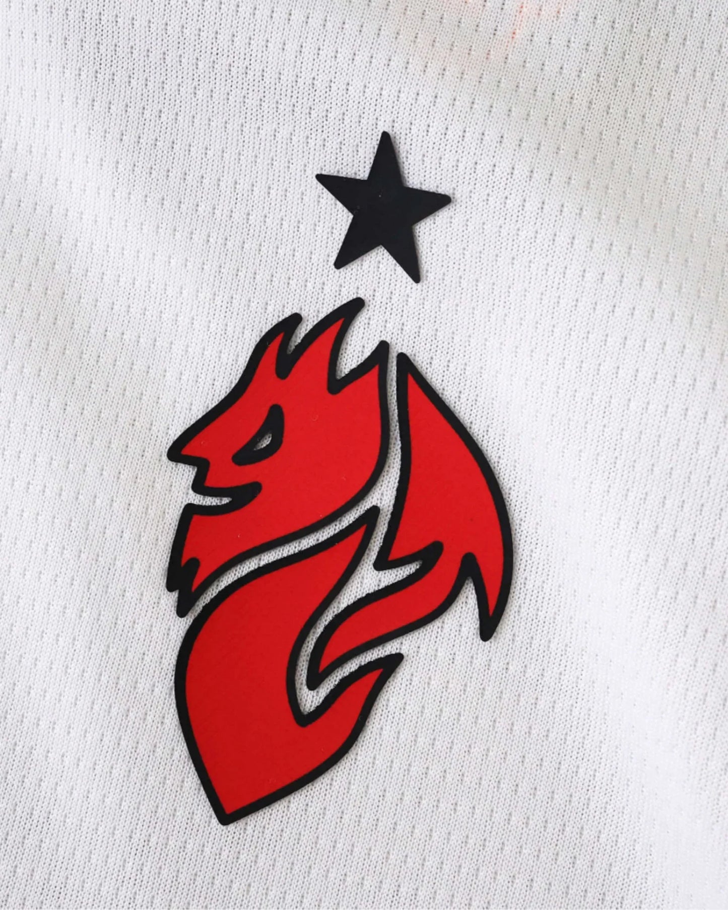 AC MILAN JUNIOR 2025/26