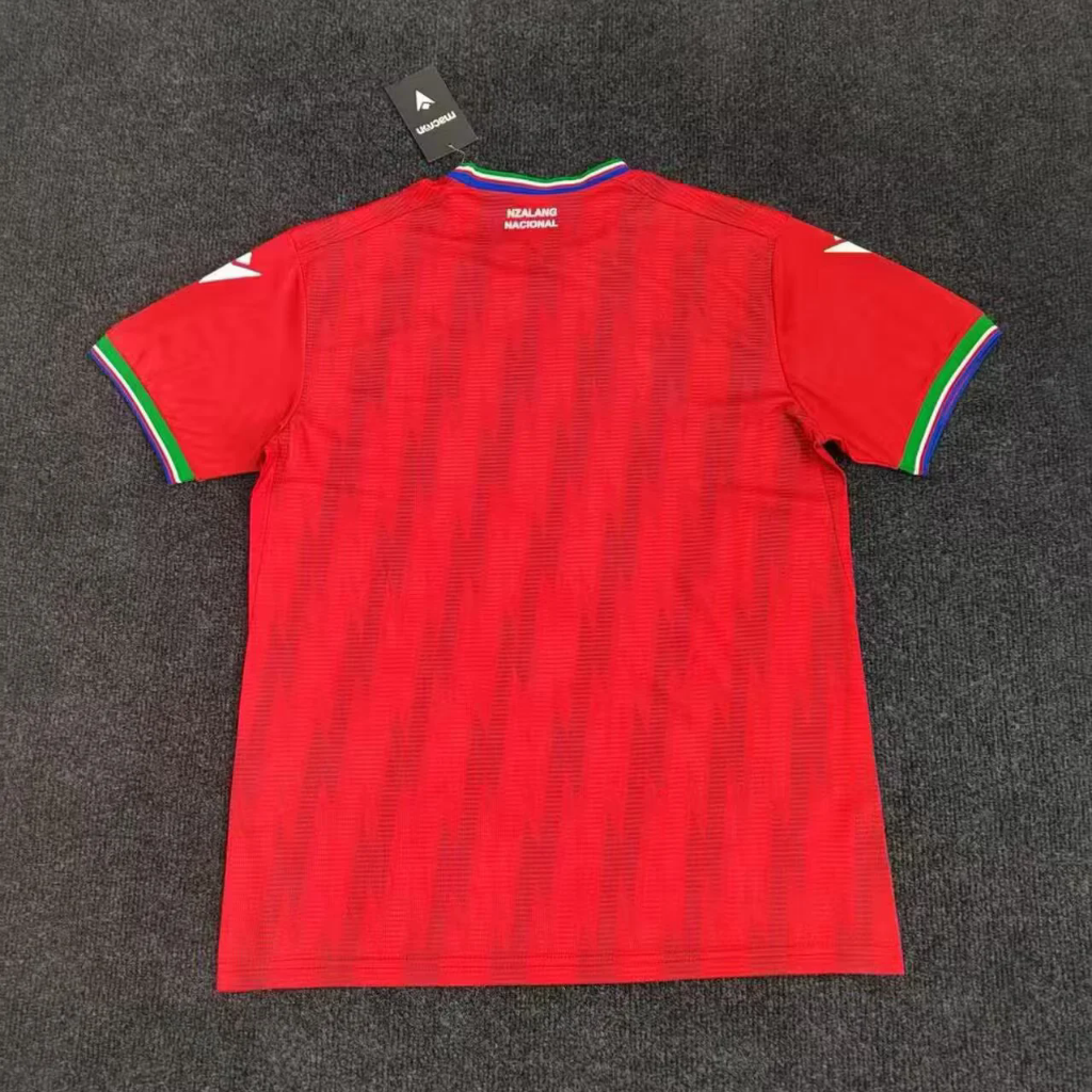 Guinea 26/27 Red/Green/Blue World Cup Home Jersey
