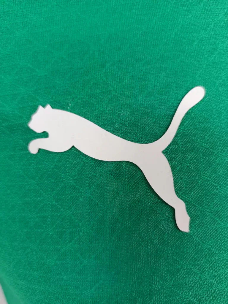 AC Milan 25/26 Green Player Version Jersey