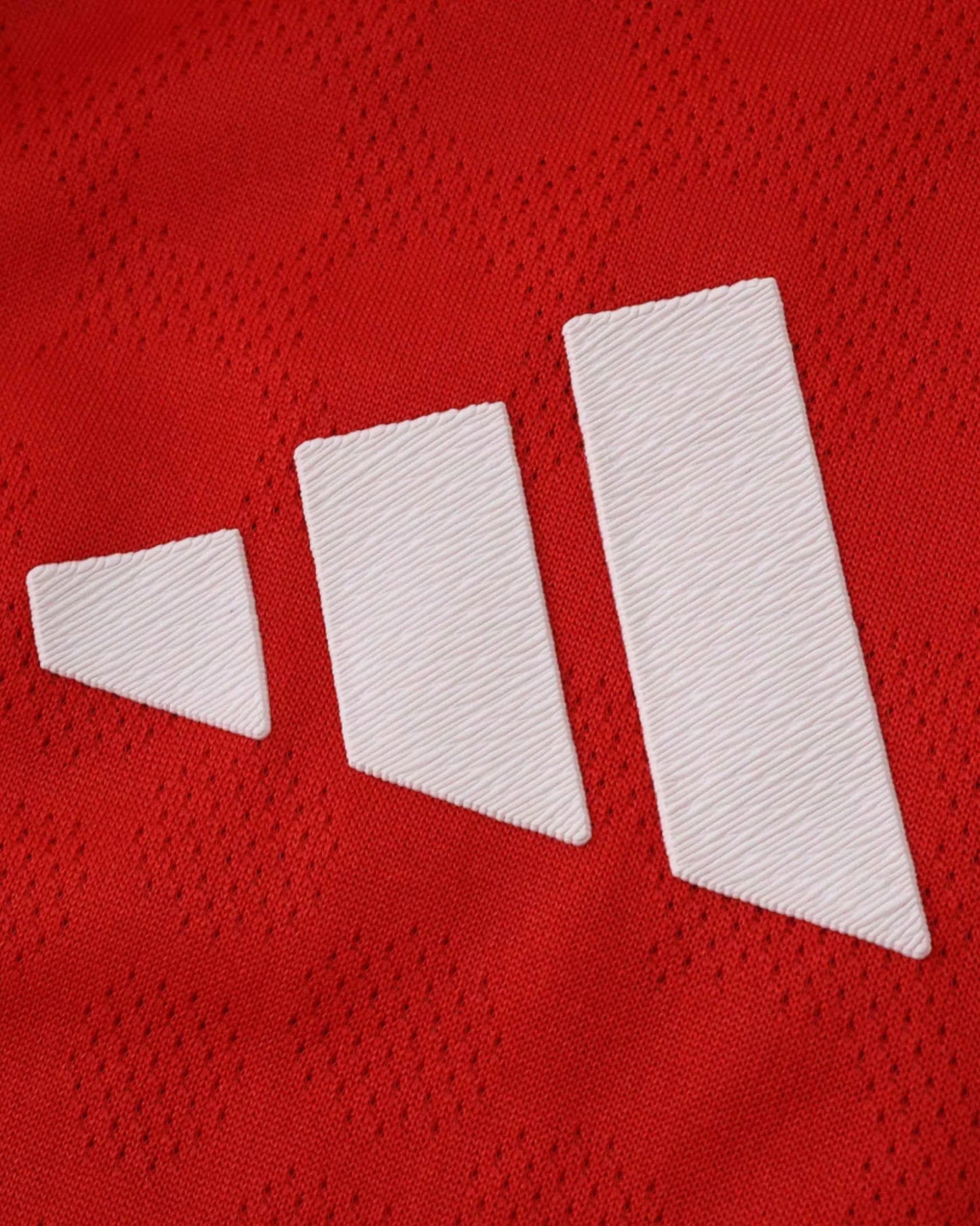 FC BAYERN MÜNCHEN 2025/26