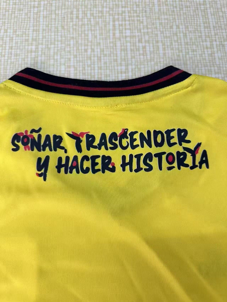 Ecuador 26/27 Yellow/Black Home Jersey