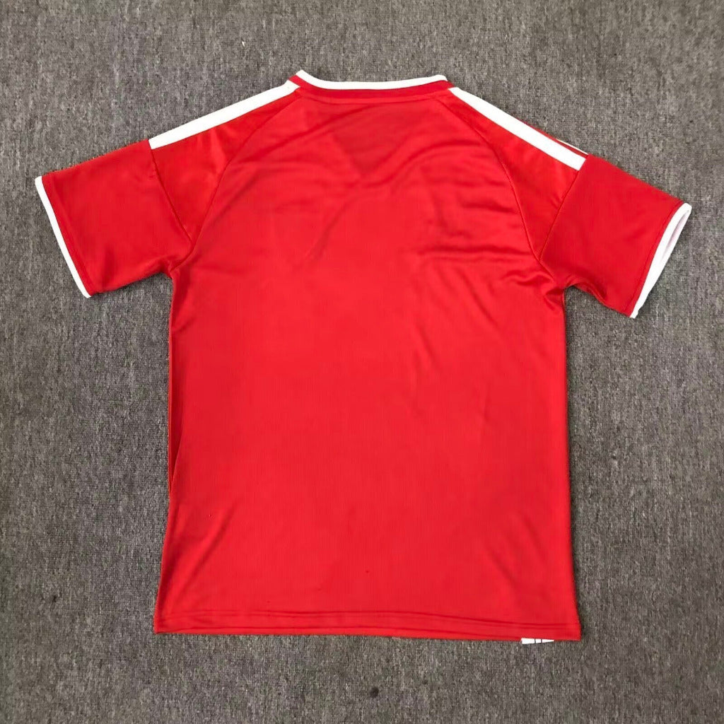 Wales 2026 Red/Green/White Home Jersey